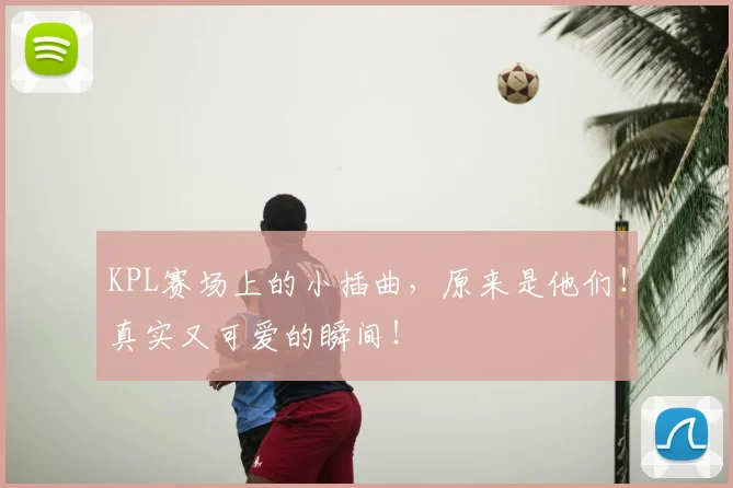 KPL赛场上的小插曲，原来是他们！真实又可爱的瞬间！