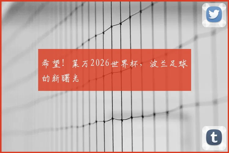 希望！莱万2026世界杯，波兰足球的新曙光