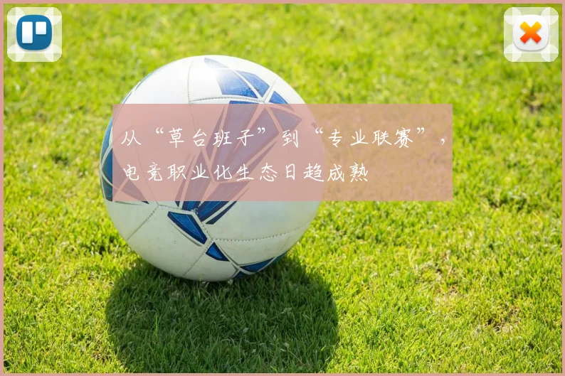 从“草台班子”到“专业联赛”，电竞职业化生态日趋成熟