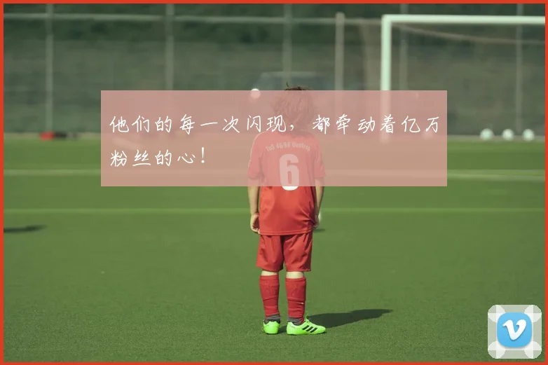他们的每一次闪现，都牵动着亿万粉丝的心！