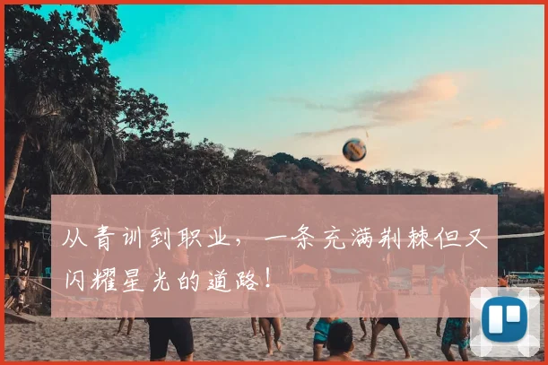从青训到职业,一条充满荆棘但又闪耀星光的道路!