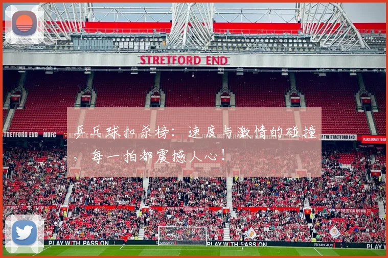 乒乓球扣杀榜：速度与激情的碰撞，每一拍都震撼人心！