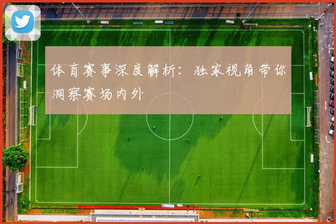 体育赛事深度解析：独家视角带你洞察赛场内外