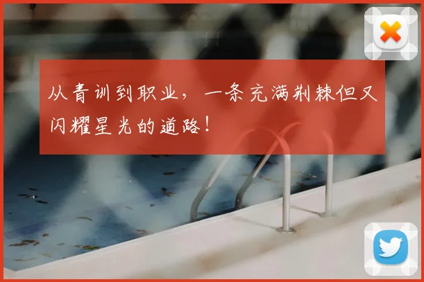 从青训到职业,一条充满荆棘但又闪耀星光的道路!