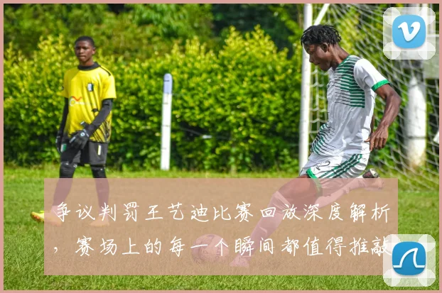 争议判罚王艺迪比赛回放深度解析,赛场上的每一个瞬间都值得推敲